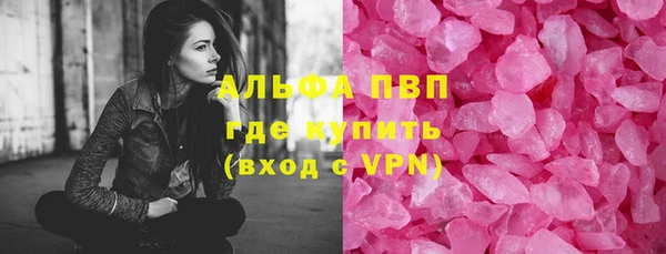 прущие грибы Магадан