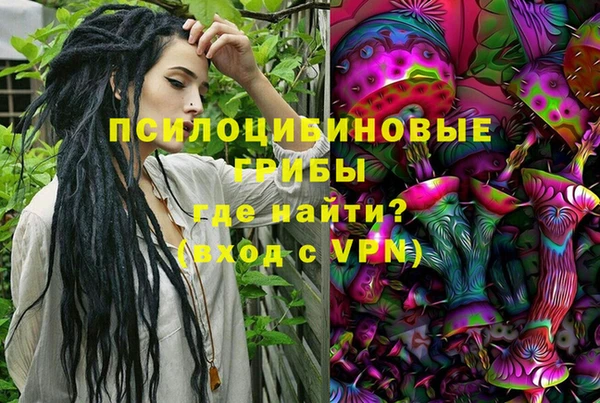 прущие грибы Магадан
