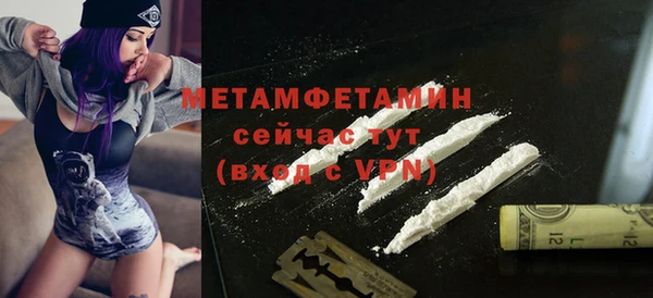 прущие грибы Магадан