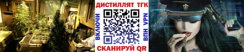 где продают наркотики Сураж ТГК концентрат
